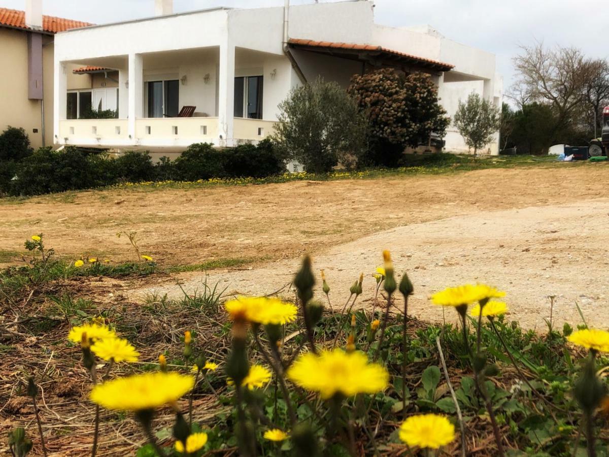 The Hillhouse Near Alexandroupolis Alexandrópolis Exterior foto